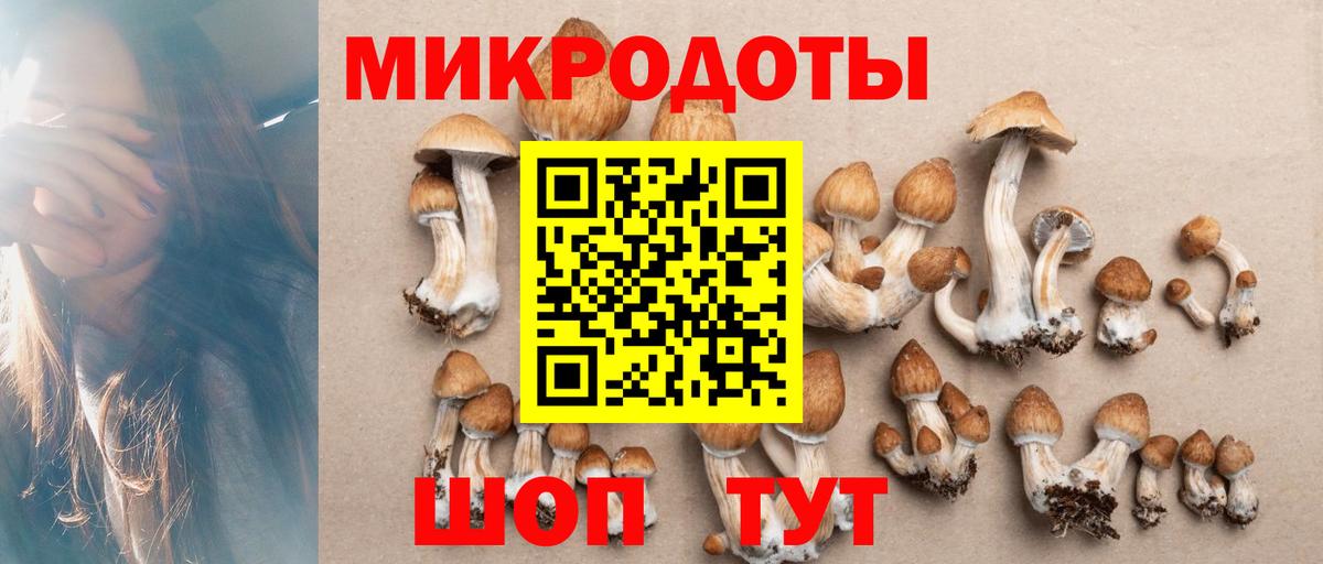 Псилоцибиновые грибы мухоморы Губкинский