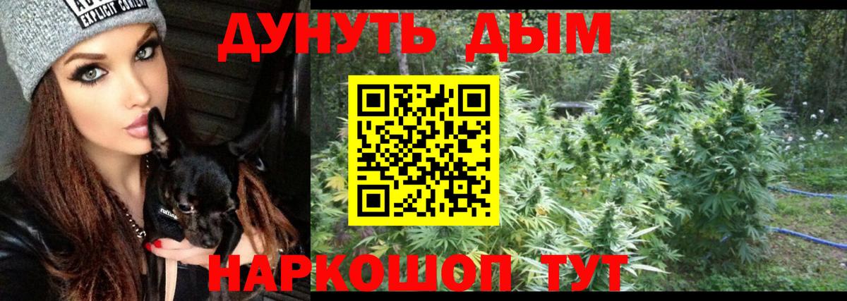 Губкинский  Канабис SATIVA & INDICA  Канабис White Widow  Вход с VPN  Шишки марихуана конопля 