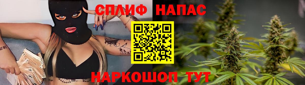 Бошки Шишки VHQ Губкинский